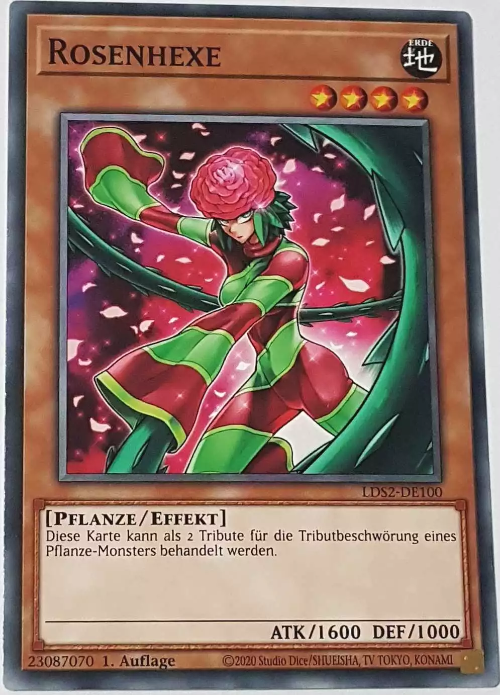 Rosenhexe LDS2-DE100 ist in Common Yu-Gi-Oh Karte aus Legendary Duelists: Season 2 1.Auflage
